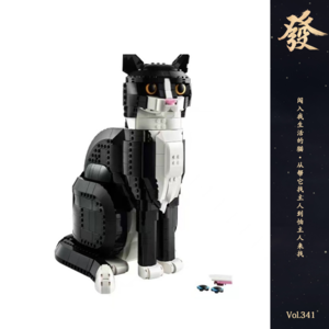 341期 - 闯入我生活的猫·从帮它找主人到怕主人来找