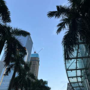 在粤海街道开公司#第4期:从北京移居深圳后,他们一致表示“真香”