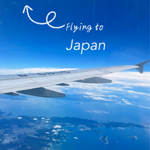 Vol.02 不会日语、没出过国，如何开启日本自由行：全网最细节的关西旅行分享