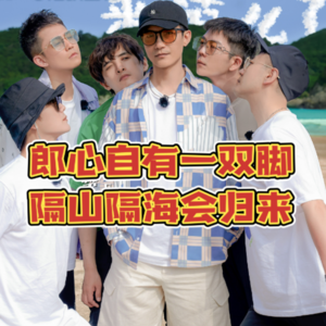Vol.8【庖丁解鹅】0713：花有重开日，人可再少年