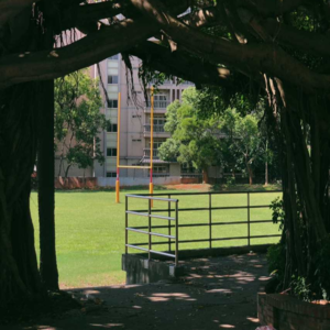 「好有味」闽南语歌曲推荐