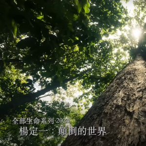 E48 杨定一 I 颠倒的世界