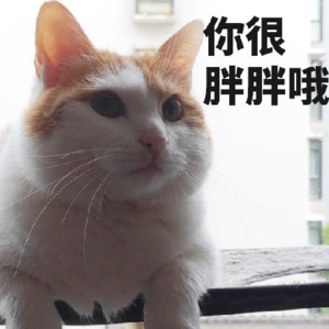 Vol.016 大吃一口!全篇无广的美食安利!