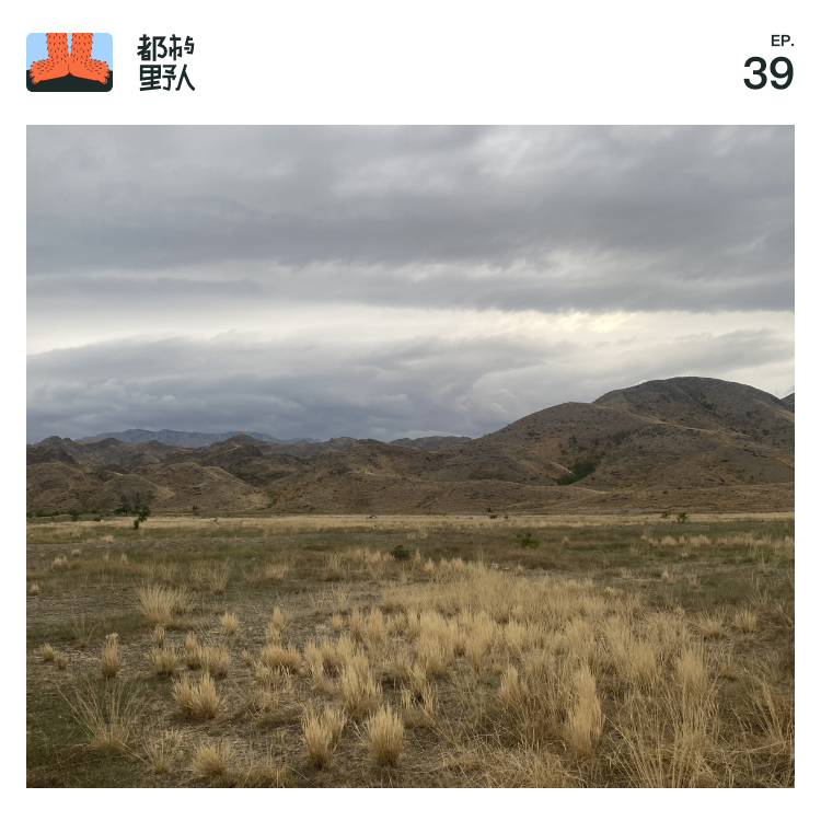 Podcast Cover