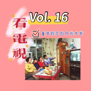 16-一起看电视吧（上）| 童年白月光综艺节目大赏