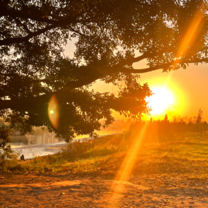 陪你到终点站（粤语）