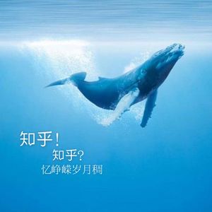 扯淡刘专栏：知乎？知乎！