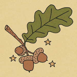 01. 五月读书分享：权力与魔法的运作规律