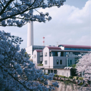 「心情日记」代我伤心的唱片