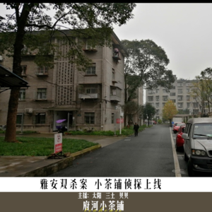 雅安双杀案 小茶铺侦探上线