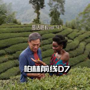 2024柏林电影节前线日记第七天｜张震大哥，我也叫你一声哥，别拍这种片了好吗