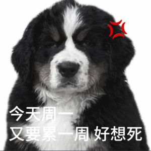 想鼠是一种良好心态