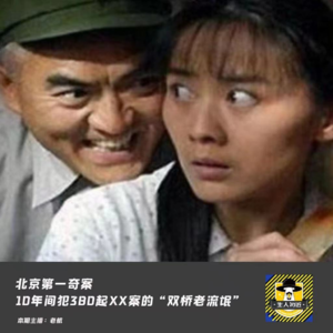 北京第一奇案--10间年犯380起XX案的“双桥老流氓”