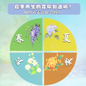 应季而生的花你知道吗？那用日语怎么说？