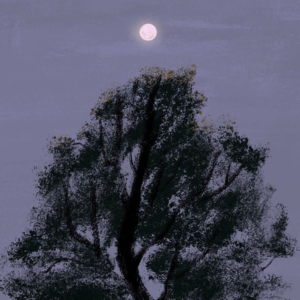 06-助眠ASMR-睡个好觉