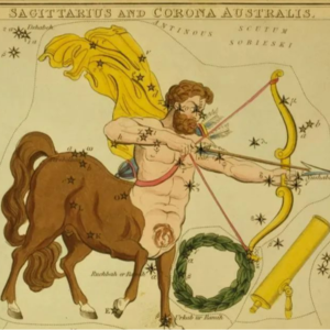 语焉不详 021|射手座当不了司机,除非是碰碰车