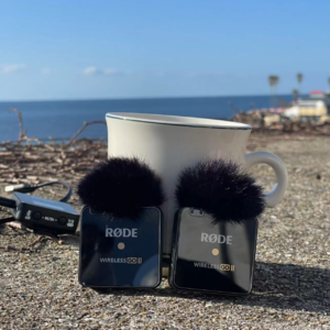 EP52 两周年：阳光下，海风中，做两朵只为自己开的花