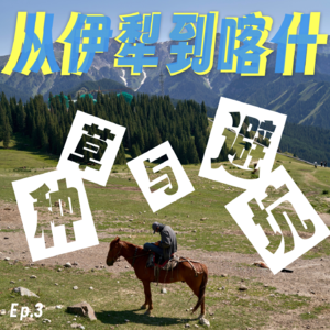 从伊犁到喀什，新疆自驾种草与避坑