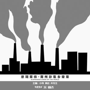 003.商州孙集乡奇案