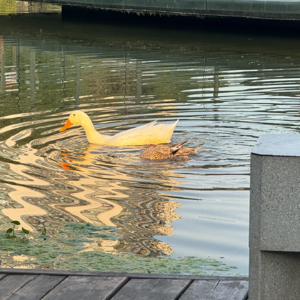 05 3月闲聊 | 读书、生活，我看到的不平等现象和思考