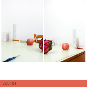 vol.001 芭芭拉·普鲁斯特(Barbara Probst),现实与虚构之间,她与她的图像