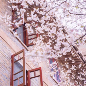 No.006-一个月过去，我们的播客何去何从？