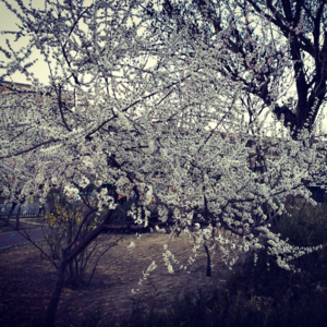 寥聊 「LL」—— 师傅走吗