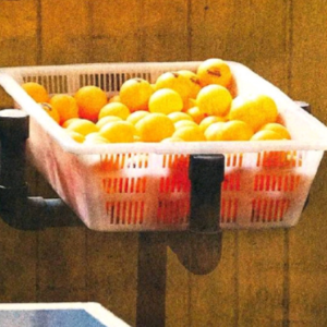 《河边的错误》:时代的荒凉下,边缘人物发疯实录