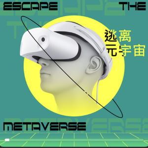 逃离元宇宙