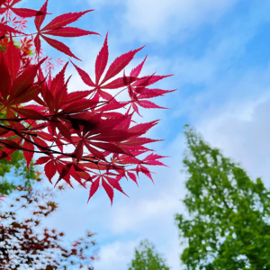 -057 当一个医生决定去看病