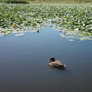 Vol.017 「不被工作定义」当你讨厌自己的大学专业,该如何自救?