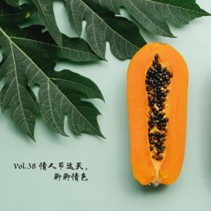 Vol.38 情人节这天聊聊情色