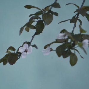 Vol.00 序章：给理想主义者一条活路吧