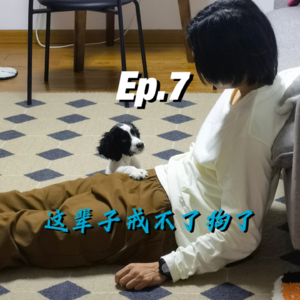 Ep.7 这辈子戒不了狗了