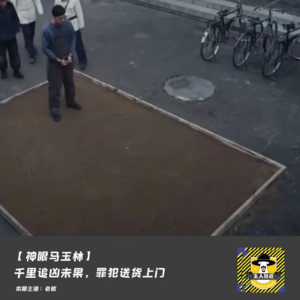 【国内神探马玉林】（5）顶级刑侦大佬的眼力和逻辑能有多逆天？