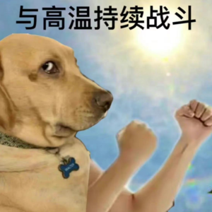 Vol.19 暑期看点啥，找我追剧侠