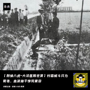 村霸械斗只为竞选，血液抽干惨死麦田丨刑侦八虎-大法医陈世贤