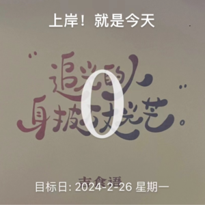 vol.63 | 从一腔热血往前冲到平平淡淡才是真：考公真的是最优解吗？