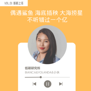 vol.01. 大海捞“星” 海底插秧 这位地球卫士一人全干了！