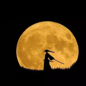 第13期·诗，酒，生活，武侠，道路