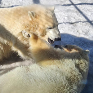 【100期抽奖】春节开心是开心，愁也是真愁啊！ | 100
