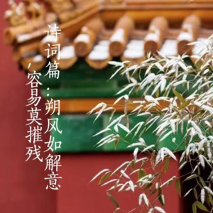 《甄嬛传》诗词篇：朔风如解意，容易莫摧残