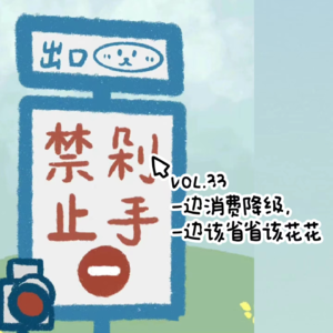 VOL.33一边消费降级，一边该省省该花花