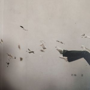 送你一颗子弹-刘瑜