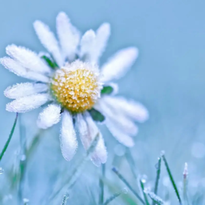 我的1000种生活美学 | 诗意的栖居