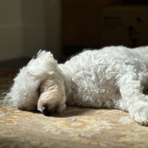 85 | 纯音乐助眠