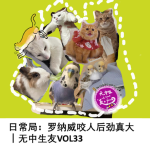 日常局：我养宠物不养孩子｜无中生友VOL33