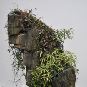 033 园冶 选石篇 说说掇山造园中的石材类型2