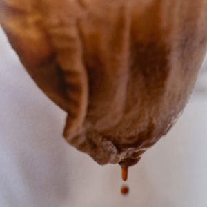 025.[对谈一] 日本咖啡滤泡文化