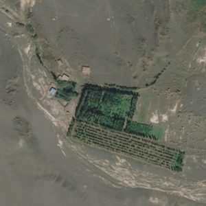 瓦砾谈vol.08丨荒芜的城市和丰饶的沙漠:何为良好的居住生活